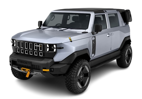 vision-t boro iconic